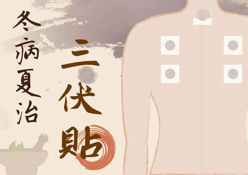 【詳解】什么是三伏貼？三伏貼的功效與注意事項(xiàng)！