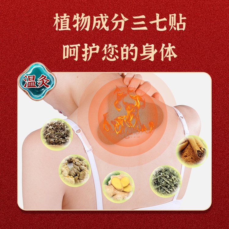 三七透骨貼成分 三七透骨貼成分